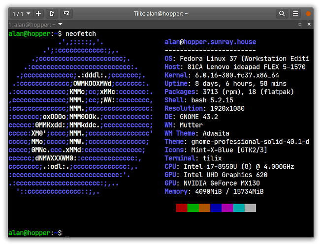 Black terminal with blue text